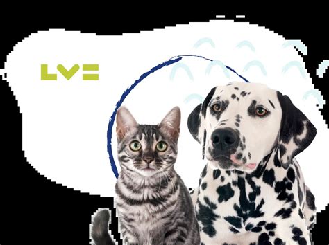 lv pet insurance quote